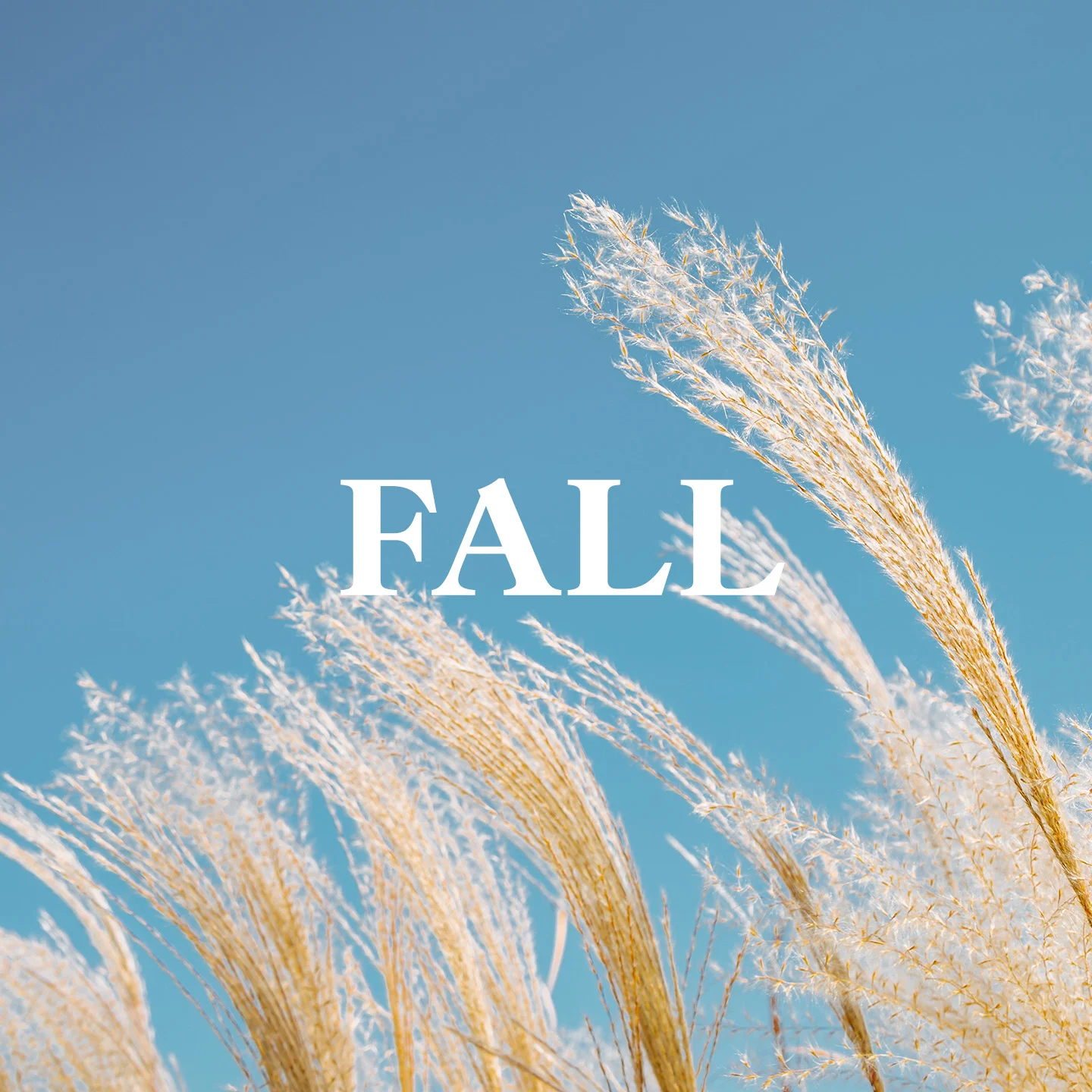 Fall